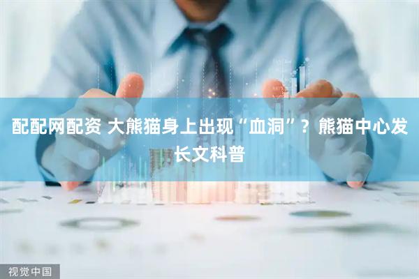 配配网配资 大熊猫身上出现“血洞”？熊猫中心发长文科普