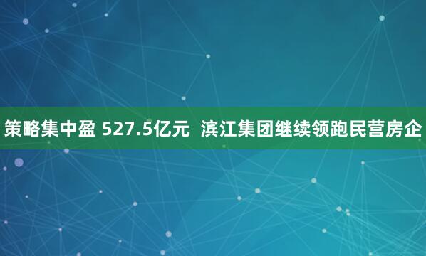 策略集中盈 527.5亿元  滨江集团继续领跑民营房企