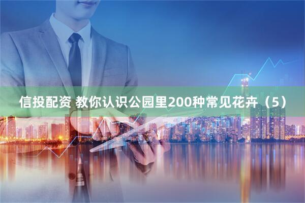 信投配资 教你认识公园里200种常见花卉（5）