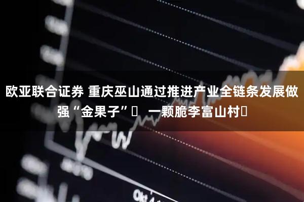 欧亚联合证券 重庆巫山通过推进产业全链条发展做强“金果子”‌ 一颗脆李富山村‌
